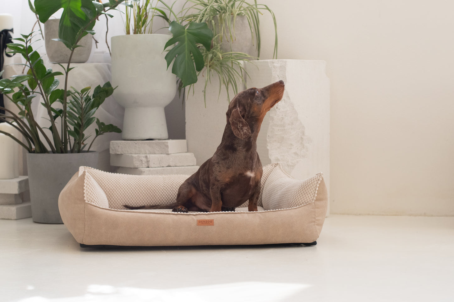 Cama para perros "ANCONA" beige