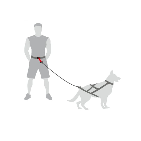 "SLED" Canicross Gurt 4in1