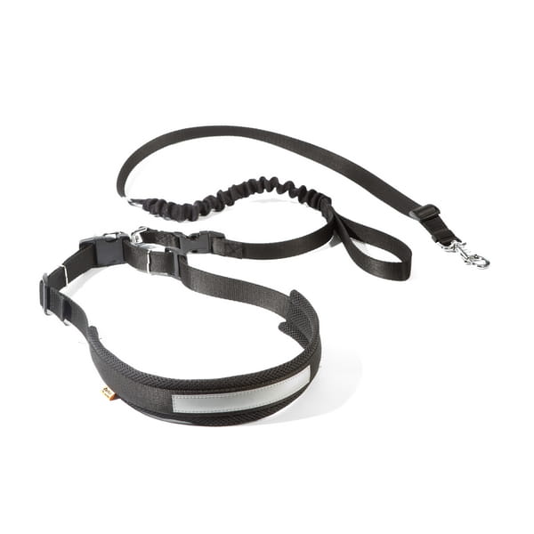 Jogging belt with shock absorber