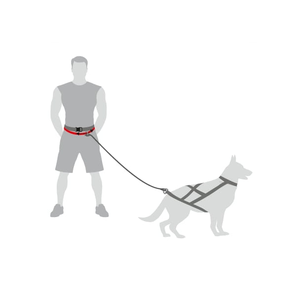 "SLED" Canicross Gurt 4in1