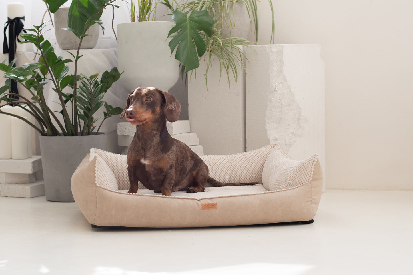 Cama para perros "ANCONA" beige