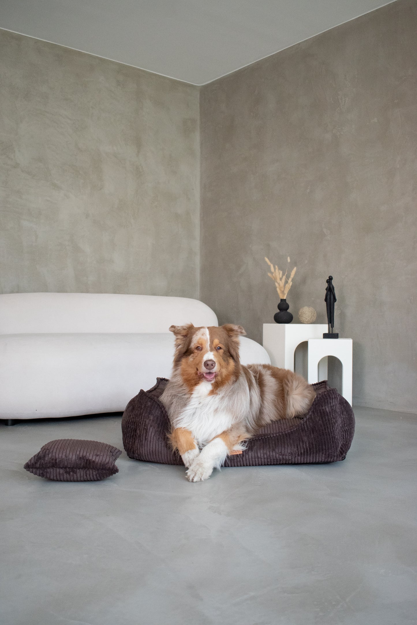"MILANO" Dog bed brown