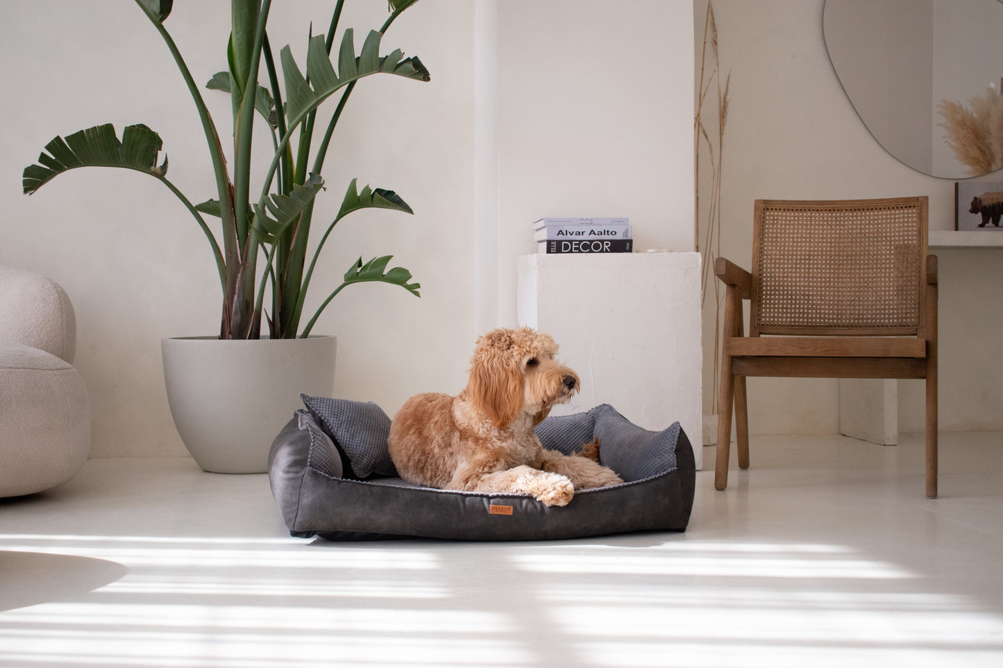 Cama para perro "ANCONA" gris oscuro