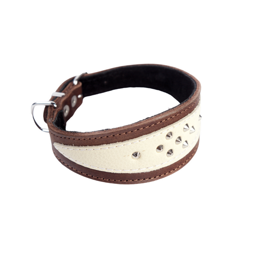 Collar de cuero "SUAVE" para galgo Greyhound "DECOR"
