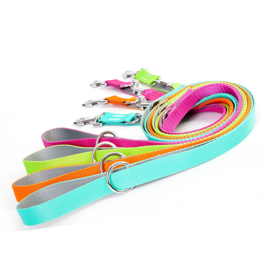 "ENERGY SILVER" Verstellbare Hundeleine 120-160-220CM