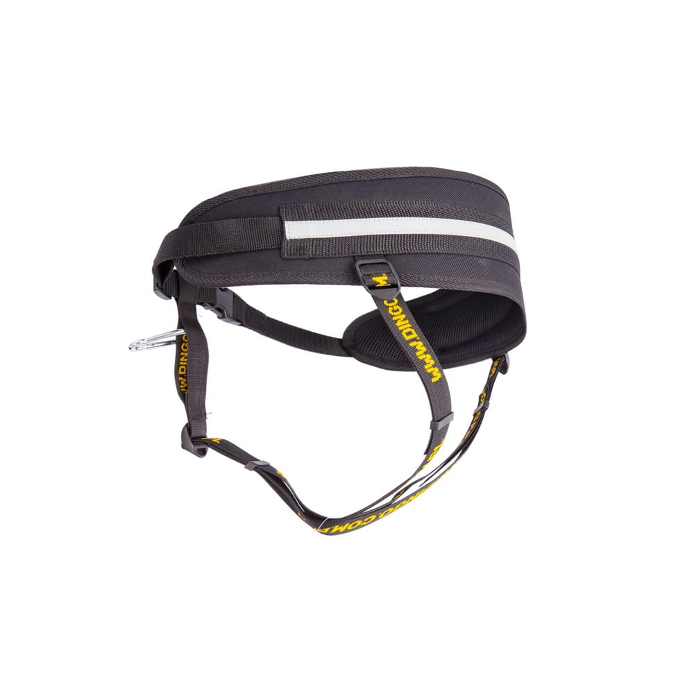 "SLED" Canicross Gurt 4in1