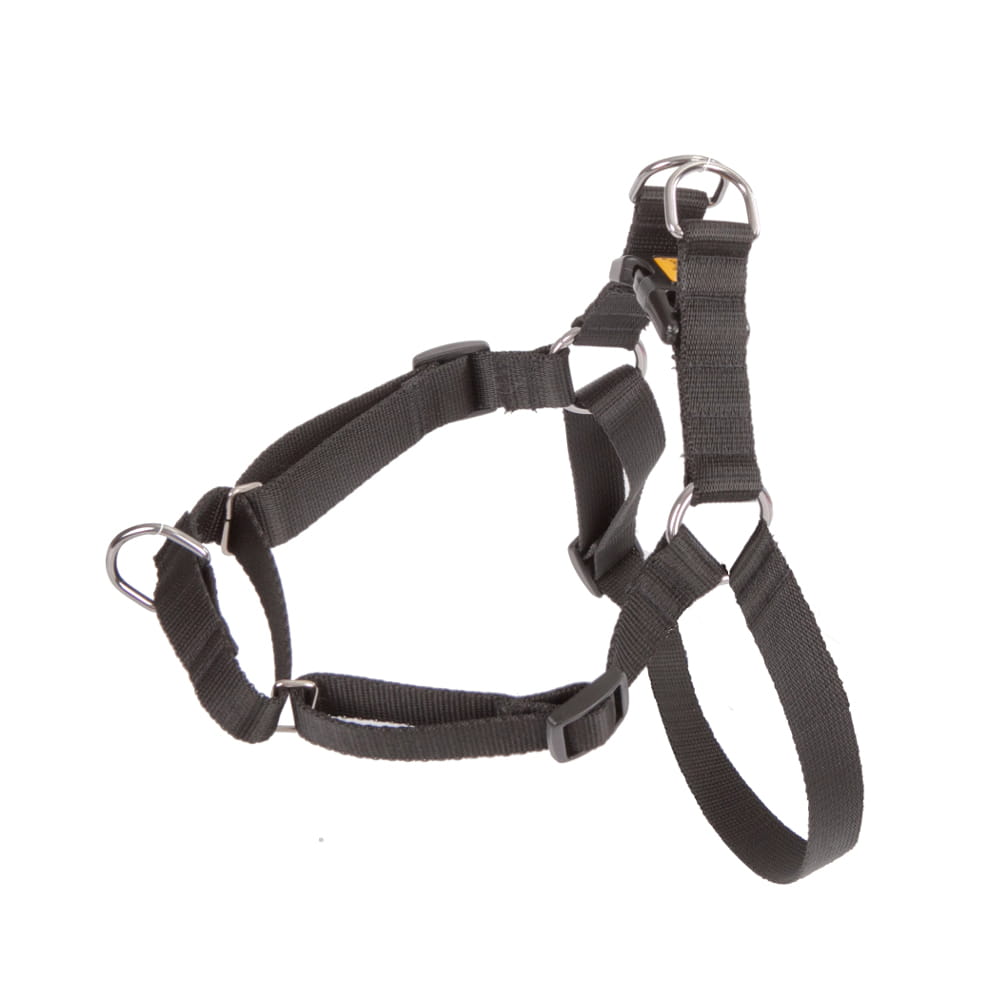 "NO PULL" harness, black, red