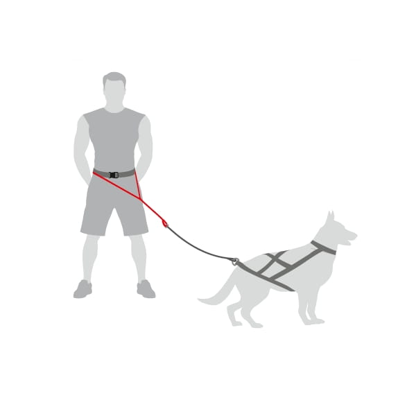 "SLED" Canicross Gurt 4in1